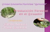 Producción Forestal en el Ecuador