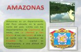 Departamento de Amazonas