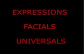 Expressions facials universals