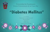 Diabetes mellitus. bases moleculares
