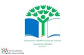 Presentación Ecoescuela EI  Príncipe de Asturias de Algodonales (Cádiz)