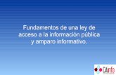Principios Ley Acceso Informacion Publica