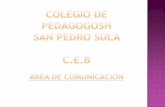 Area comunicacion 2012(1)
