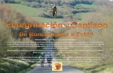 1 etapa: Camino de Santiago(Roncesvalles A Zubiri)