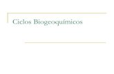 Ciclos biogeoqumicos-120580002541556-3