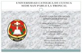 Universidad catolica de cuenca loritop