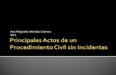 Principales actos de un procedimiento civil sin incidentes