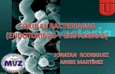Toxínas Bacterianas de importancia en Medicina Veterinaria