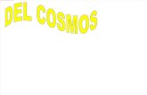 Del Cosmos A La Vida 1