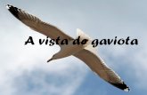 Asturias a vista de gaviota
