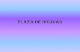 Plaza de bolivar
