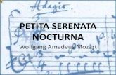 Petita serenata nocturna (W.A.Mozart)