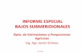 Informe Especial Bajos Submeridionales (2)