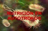 Nutrición en Autótrofos y Heterótrofos