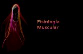 Fisiología muscular beltran