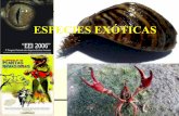 especies exóticas invasoras en españa
