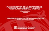 Implantación del Plan Director del ictus en Cataluña.
