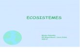 Ecosistemes(pissarra digital)