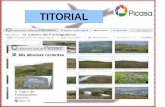 Titorial lbum web Picasa