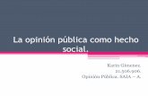 La opinión pública como hecho social