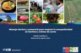 CUMBRE DE NAHUELBUTA - AGROALIMENTOS: 3 cumbre agroalimentaria-adrian catrileo