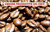 Presentación cadena productiva café