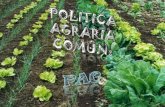 Politica agraria común