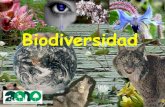 Biodiversidad Pliego
