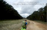Camino de Santiago. De Belorado a Atapuerca (29 km)