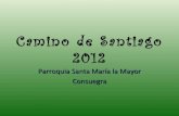 Plan camino de santiago 2012