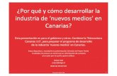 Por que y como desarrollar la industria de 'nuevos medios' (new media) en Canarias - 2010