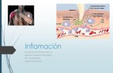 Bioquimica de la Inflamación