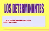 Los determinantes 5º -2