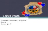13175702 caries-dental