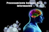 Procesamiento humano de la información