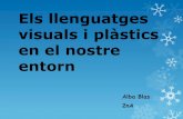 Els llenguatges visuals i plàstics en el nostre