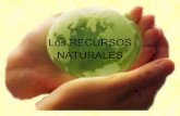 Los recursos naturales blog!
