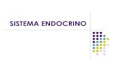 S. endocrino