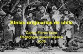Etnias Originarias De Chile