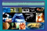Reproduccion y embriologia por Prof. Lucía Tosolini