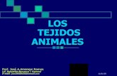 090223 Los Tejidos Animales