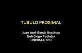 Tubulo proximal upch