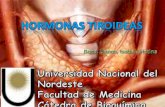 Hormonas tiroideas 2