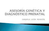 Asesoría genética y diagnóstico prenatal