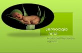 Semiología fetal