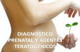 Diagnostico prenatal y agentes teratogénicos