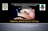 Perfil biofisico fetal