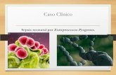 Caso clínico Sreeptococcus Pyogenes