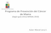 Programa de prevención del cáncer de mama (Chile)
