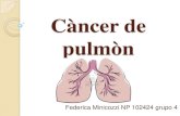Càncer de pulmòn